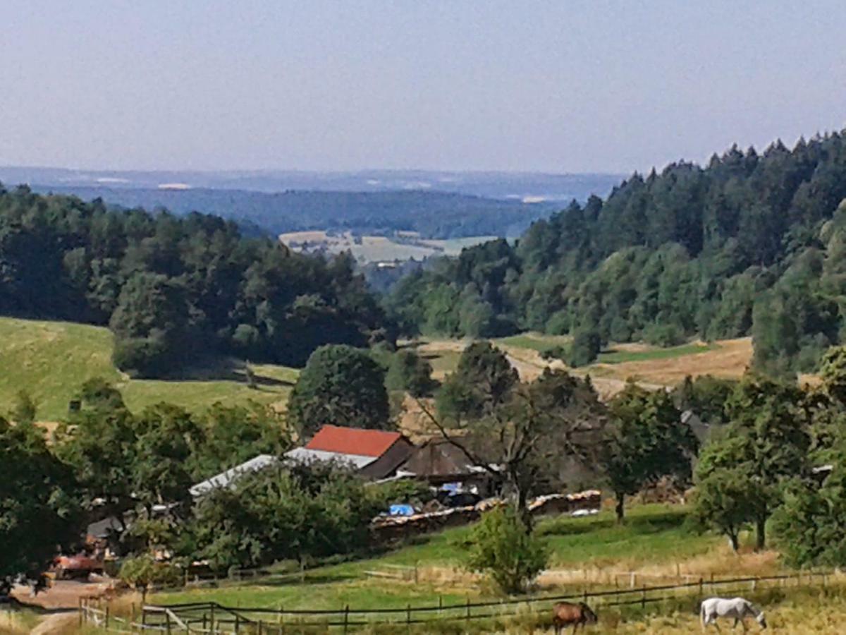 Fewo Darsberg Daire Neckarsteinach Dış mekan fotoğraf