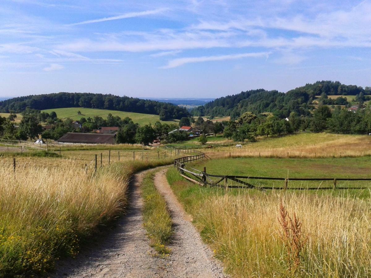 Fewo Darsberg Neckarsteinach Dış mekan fotoğraf