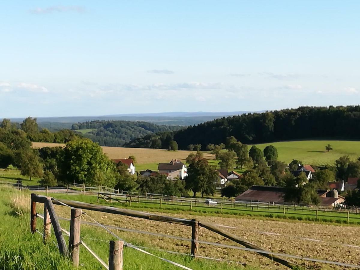 Fewo Darsberg Neckarsteinach Dış mekan fotoğraf