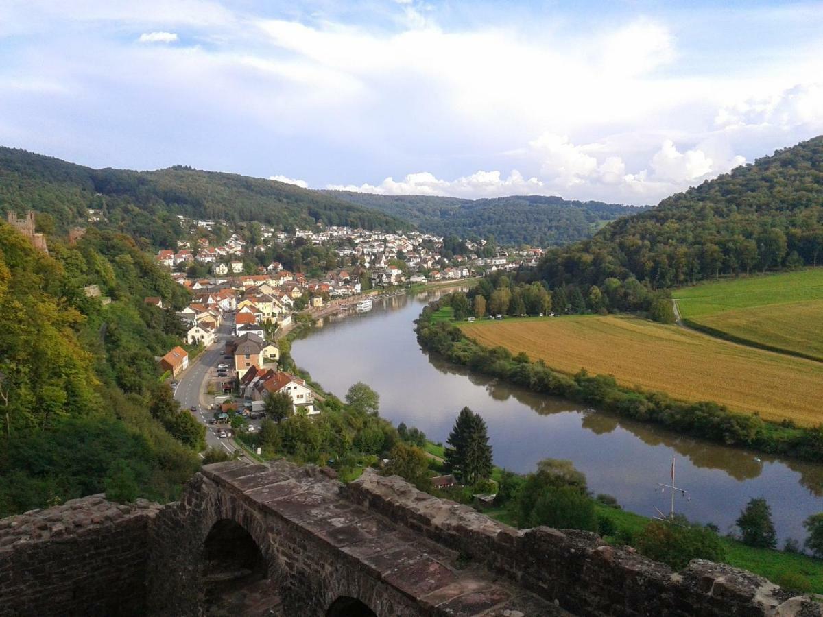 Fewo Darsberg Daire Neckarsteinach Dış mekan fotoğraf